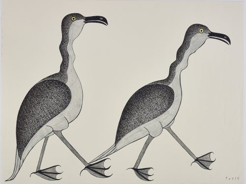 Animal scene depicting two similar birds with wobbly necks walking to the right. Scene presented in a two-dimensional style and using gray