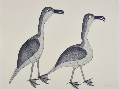 Animal scene depicting two similar looking birds walking to the right. Scene presented in a two-dimensional style and using blue and gray.