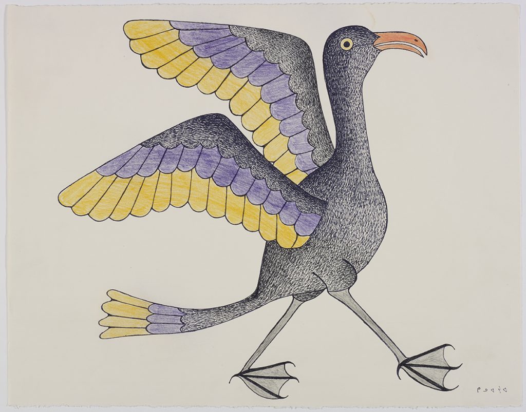 Bird with stylized feathers posing with its wings outstretched and facing right. Presented in a two-dimensional style and using purple