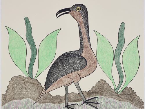 Scene depicting a bird looking to the left in a rocky landscape and surrounded by two large wavy plants. Presented in a two-dimensional style and using green