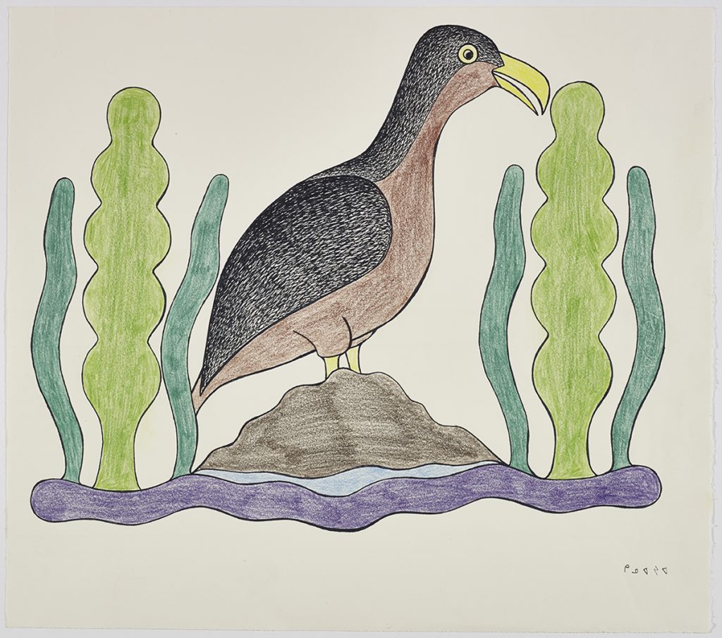 bird standing on top of a small mound of earth and surrounded by a few large