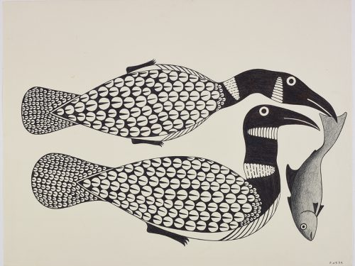 Two stylized loons with a circular pattern on their bodies. One loon has a fish in their beak. Presented in a two-dimensional style and using black and grey.
