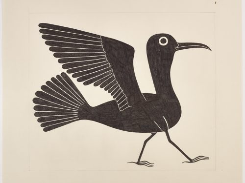 Bird posing with long feathers on its wings and tail. Scene presented in a two-dimensional style and using black