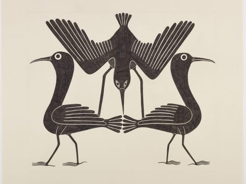 Scene depicting three birds