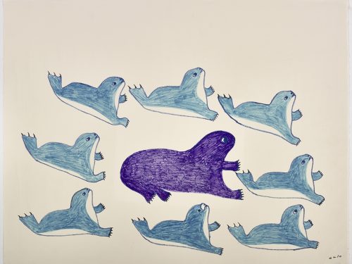 There are five seals and a walrus on the top of the page and three seals on the bottom of the page. They are depicted in a flat