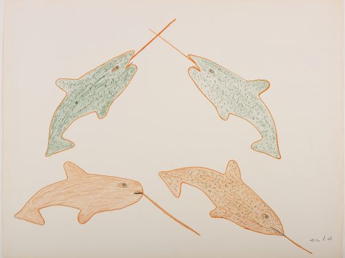 Scene depicting four stylized narwhals. Two of them are facing down and to the right while two of them are facing each other and crossing their tusks. They are depicted in a flat