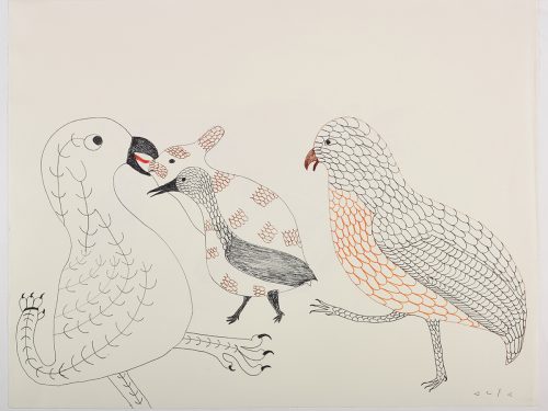 There is a large bird with a leg for a tail facing a smaller bird and a rabbit that share a similar pattern on their bodies on the left side of the page next to another bird with large rounded feathers all over on the right side of the page. They are depicted in a flat