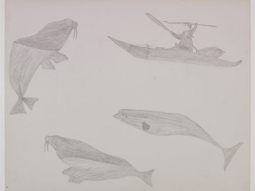 A human in a kayak hunting a walrus on top of the left side. There is another walrus on the bottom of the page as well as a beluga. Presented in a two-dimensional style and using grey.