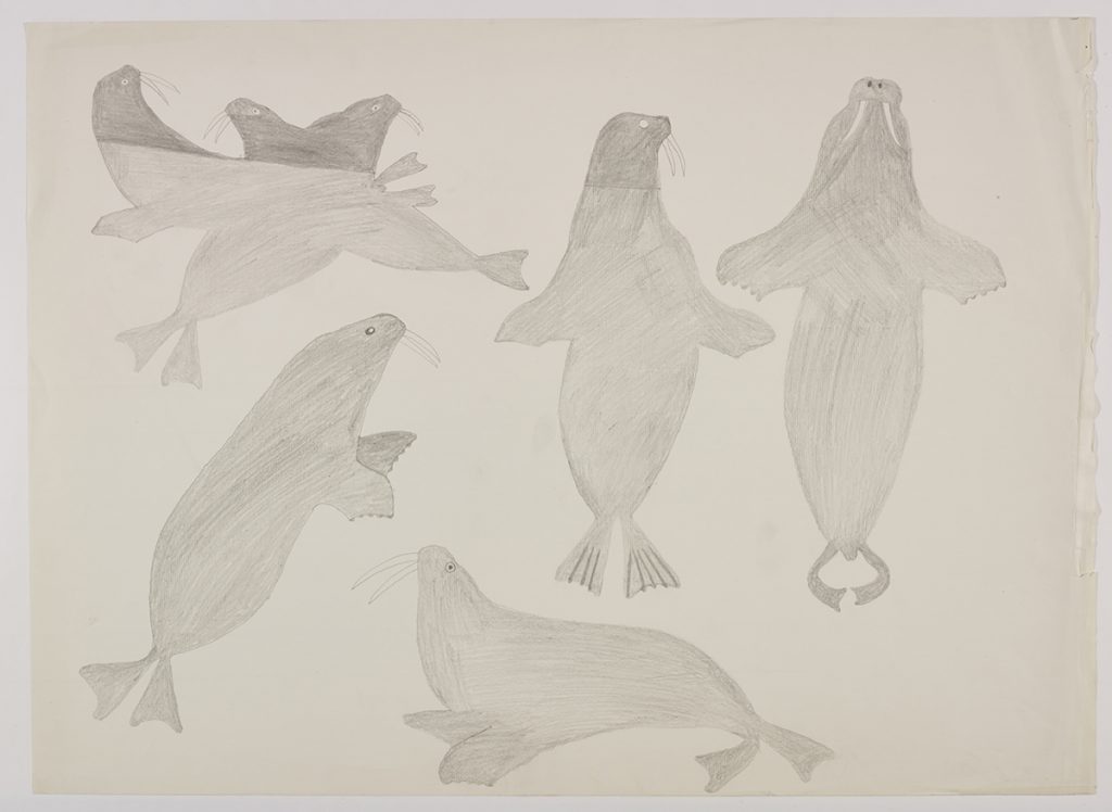 Seven realistic walruses. Presented in a two-dimensional style and using grey.