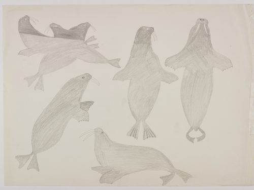 Seven realistic walruses. Presented in a two-dimensional style and using grey.