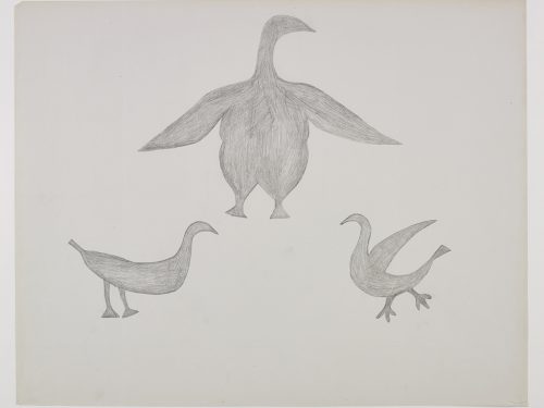 Two small birds facing each other near the bottom of the page and a larger bird with its wings outstretched near the top. Presented in a two-dimensional style and using grey.