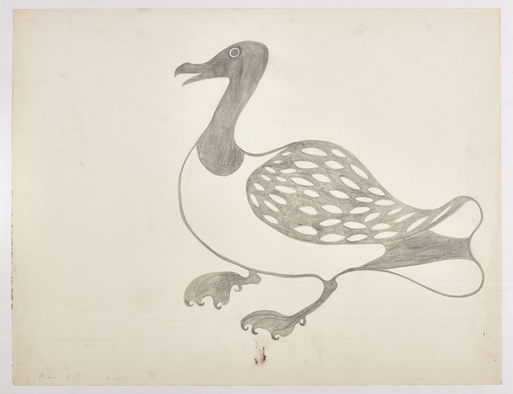 A loon with webbed feet and a spotted wing. Presented in a two-dimensional style and using grey.