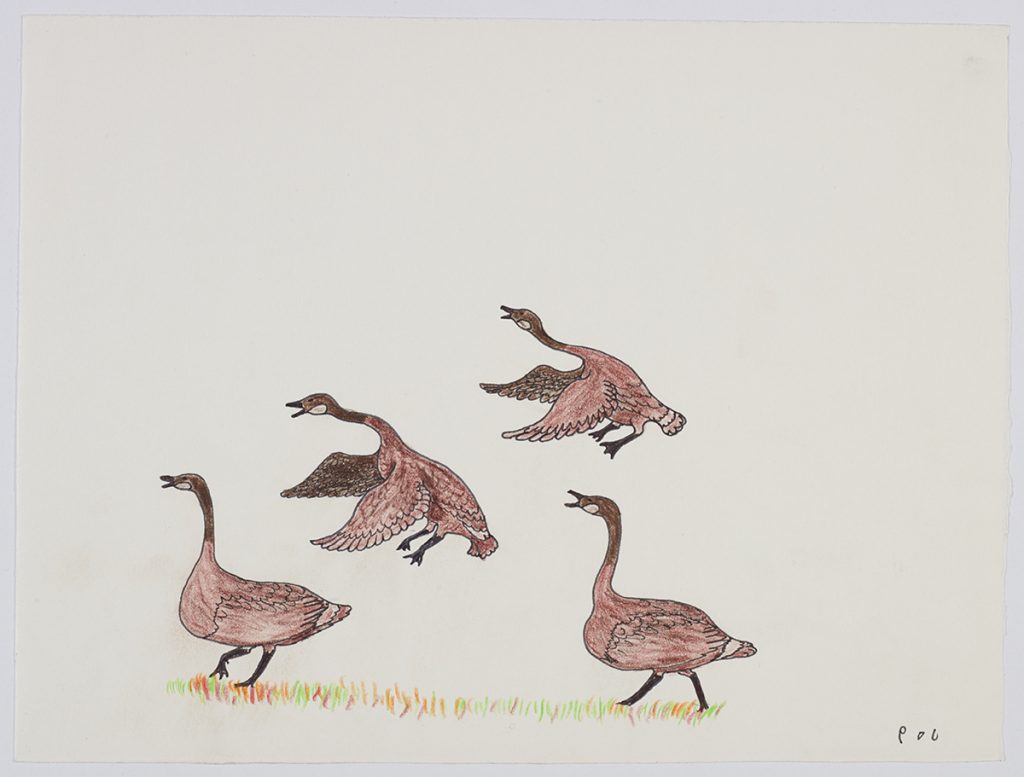 Scene depicting four Canadian geese: two geese walking on grass and two geese flying. Scene presented in a two-dimensional style and using brown