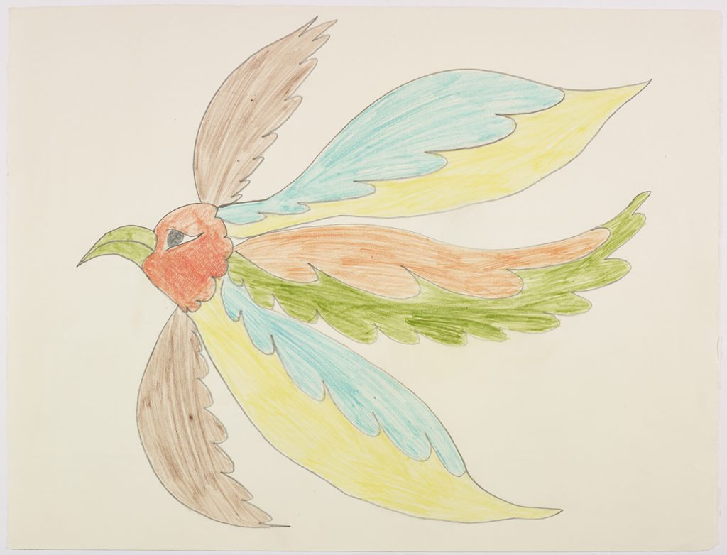Imaginary bird with colourful feathers facing the left side of the page. Creature presented in a two-dimensional style and using green