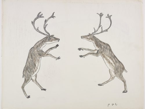 Scene depictng two caribou standnig on their hind legs with their front legs outstretched and facing each other. Scene presented in a two-dimensional style and using brown and black.