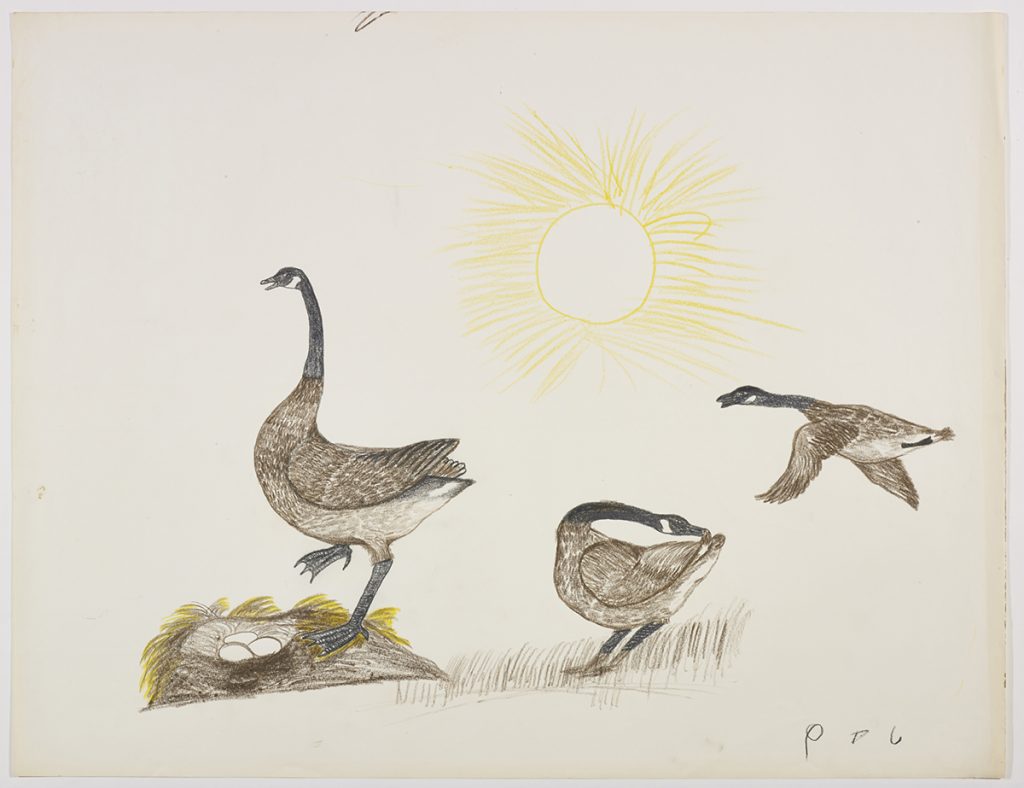 Scene depicting three Canada geese: one of them is flying towards the sun in the middle of the page