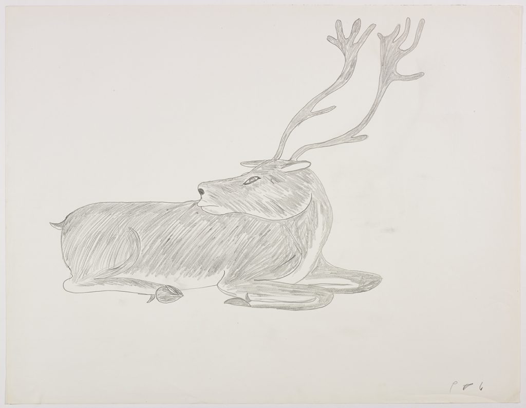 Le caribou au repos, tourné vers la gauche de la page. Œuvre bidimensionnelle exécutée en gris.