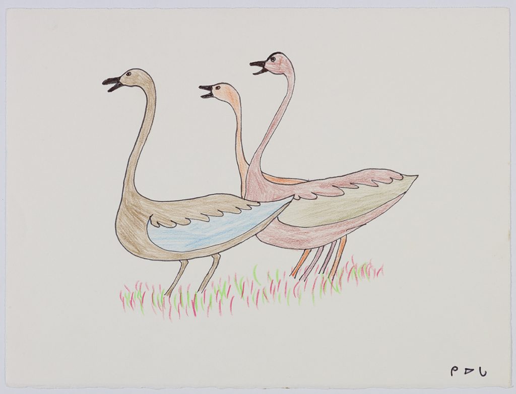 Imaginary scene depicting three realistic birds standing in some grass and facing left. Presented in a two-dimensional style and using brown