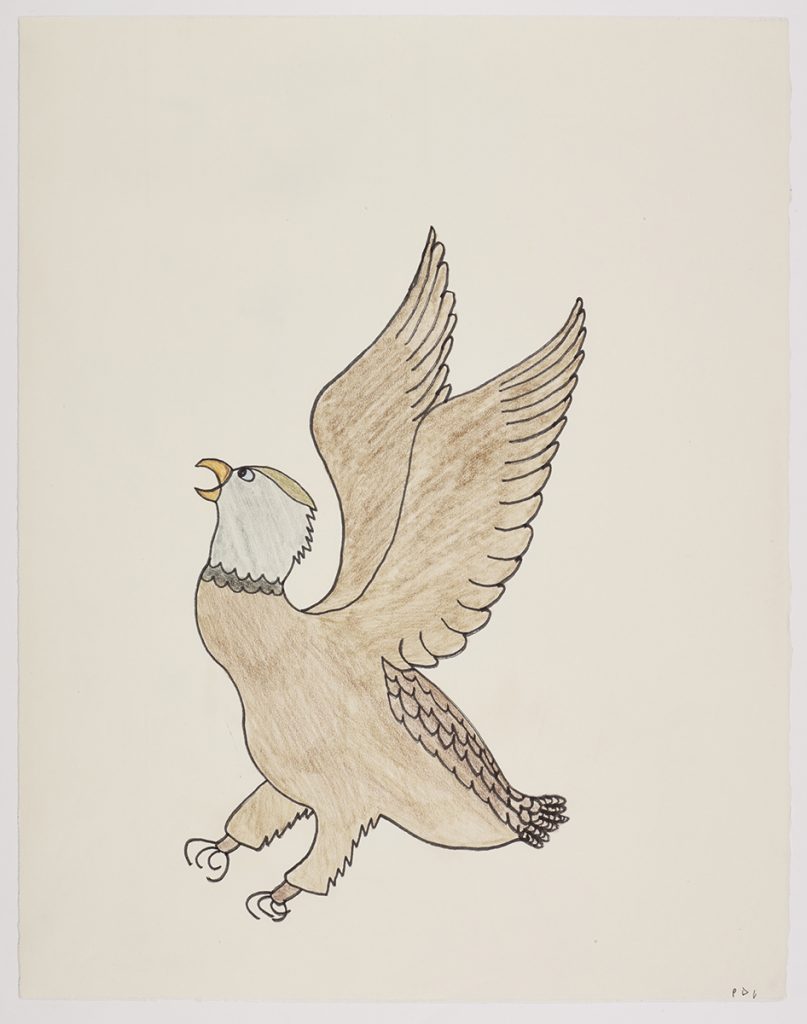 Realistic line drawing depicting a bird with its wings out and sharp claws. Scene presented in a two-dimensional style and using brown