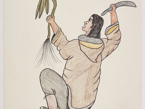 Man on one knee looking at a large flower in his left hand and holding a knife in his right. Scene presented in a two-dimensional style and using grey