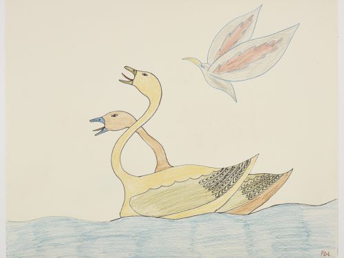 Two birds floating on water and a colourful bird flying above them with its wings outstretched. Scene presented in a two-dimensional style and using red