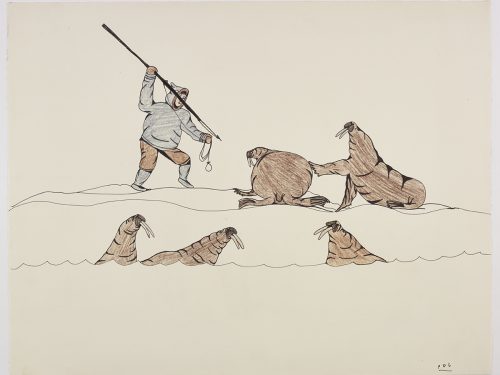 Cinq morses au bord de l'eau dont un sur le point d'être harponné par un chasseur inuit. Œuvre bidimensionnelle exécutée en brun, gris et noir.