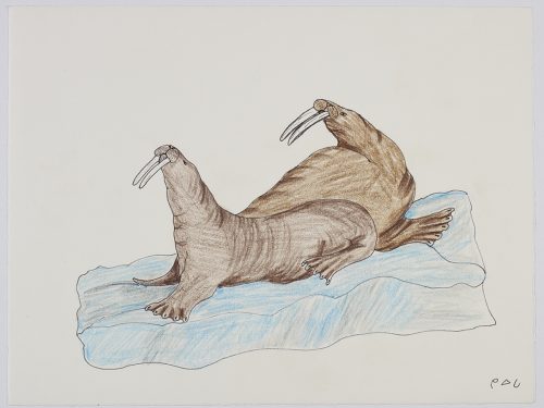 Realistic scene depicting two walrus laying on a piece of ice. Presented in a two-dimensional style and using brown