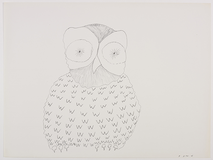 Scene depicting an owl with large eyes facing forward. Scene presented in a two-dimensional style and using grey.