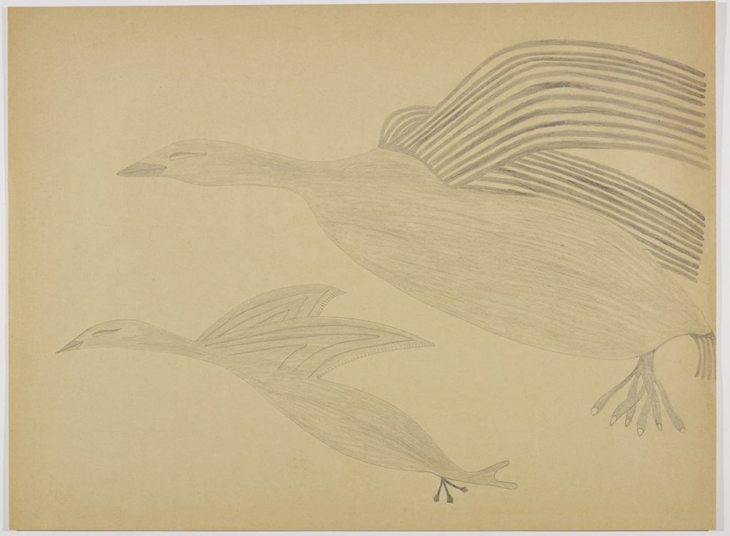 Scene depicting two birds with two different striped patterns in their wings flying to the left side of the page. Figures presented in a two-dimensional style and using grey.
