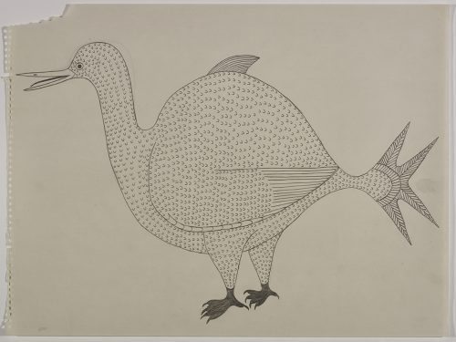 A very large bird with a spiky tail. Presented in a two-dimensional style and using grey.