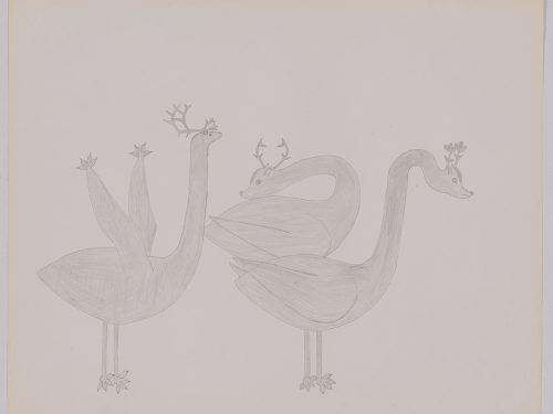 Three birds with long necks