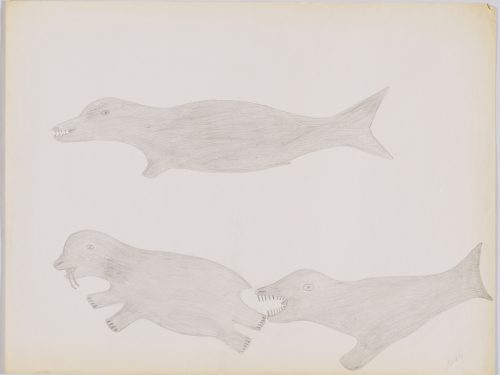 Scene depicting two simplifies whale creatures swimming next to a walrus. All figures are facing the left side of the page and presented in a two-dimensional style and using shaded grey.