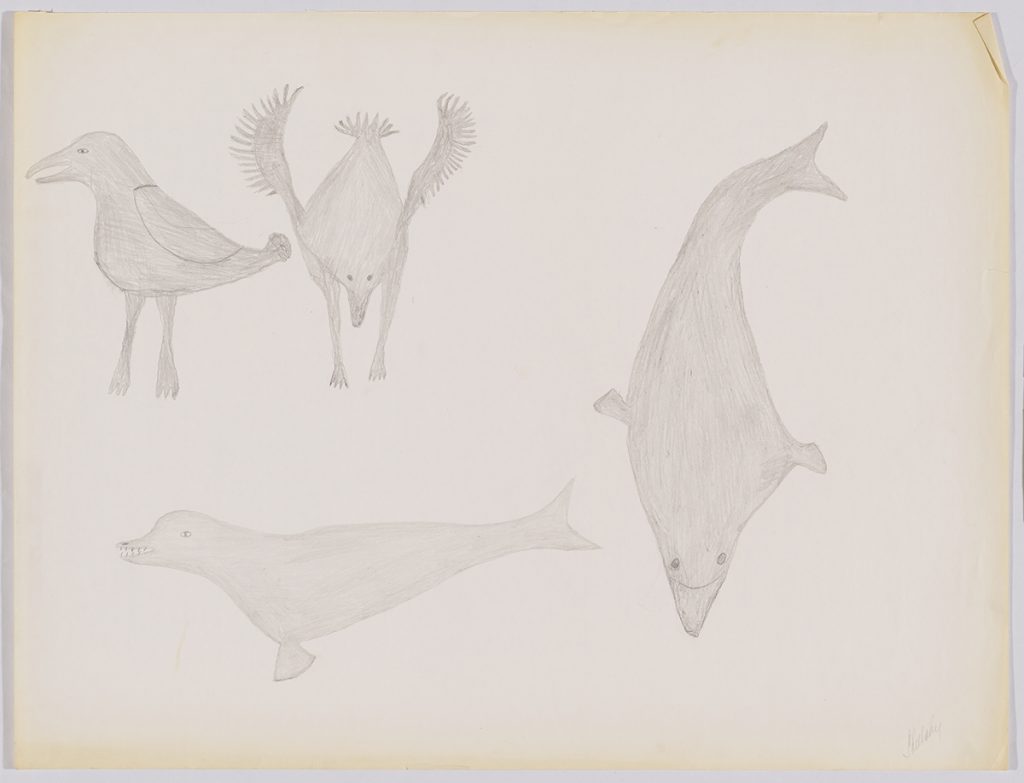 Scene depicting two birds standing in the top left corner above a seal on the bottom of the page next to a long whale with its mouth open on right side of the page. Presented in a two-dimensional style and using grey.